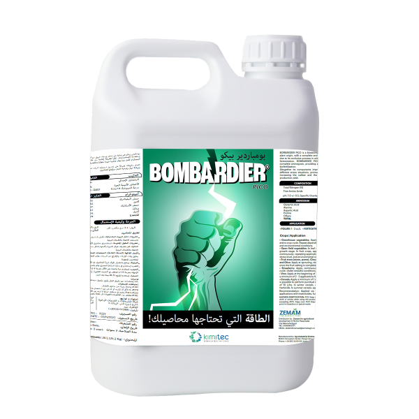 BOMBARDIER بومباردير