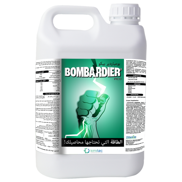 BOMBARDIER بومباردير