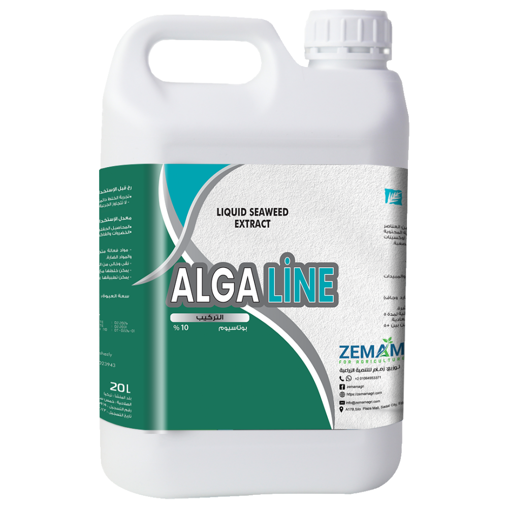 ALGALINE ألجا لاين