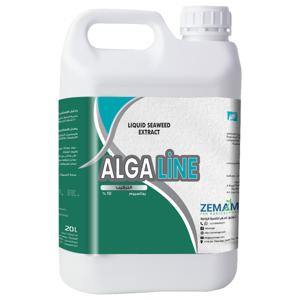 ALGALINE ألجا لاين